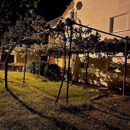 Entire 1-Bedroom Apartment With Free Parking Podgorica Exterior photo